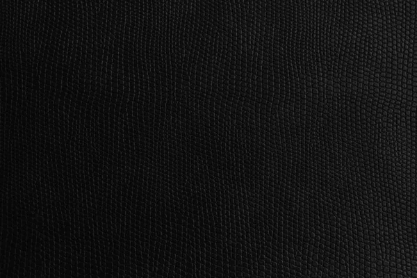 Spotted Embossed Texture Deep Black Minimalistic Colors Concept Leather Material — Stock Photo, Image