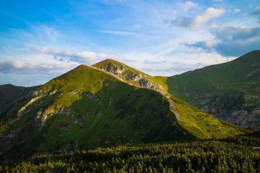 Bulutlu mavi gökyüzüne karşı yeşil bitki örtüsüyle kaplı kayalık dağlar. Zakopane, Polonya
