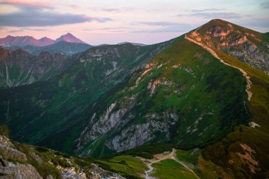 Rocky Carpathian dağları, gün batımından dolayı üzerinde pembe bir gölge olan yeşil bitki örtüsüyle kaplı.