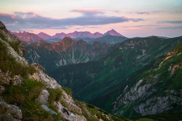 Rocky Carpathian dağları, gün batımından dolayı üzerinde pembe bir gölge olan yeşil bitki örtüsüyle kaplı.