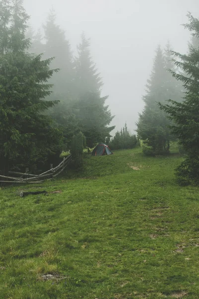 Photo Camping Carpathians Heavy Fog Hills Covered Pine Trees Green — Stock Photo, Image