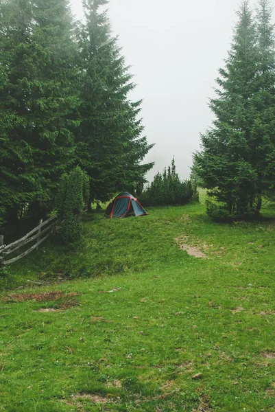 重い霧の中でカルパチアのキャンプからの写真 松林と緑の芝生に覆われた丘 ロイヤリティフリーのストック画像