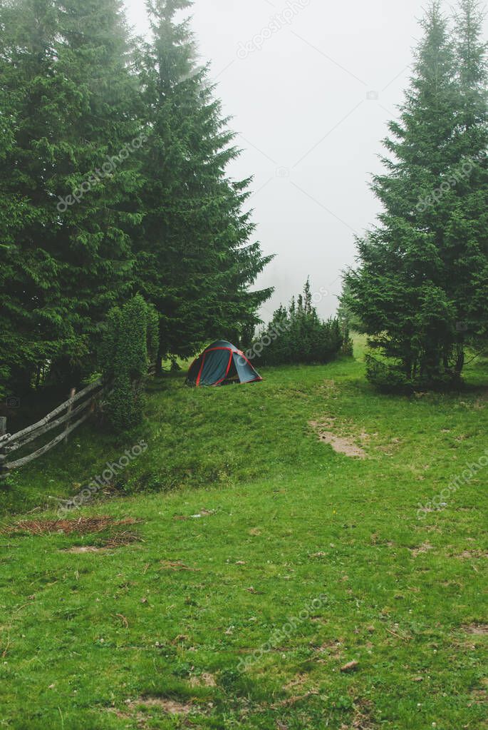 Photo from a camping in the Carpathians during heavy fog.  Hills covered with pine trees and green grass.
