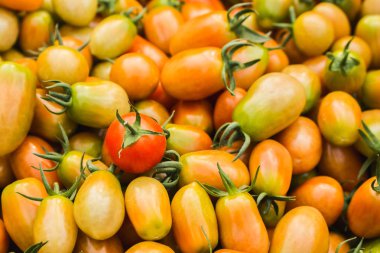 Taze domates yığını. Yakın çekim