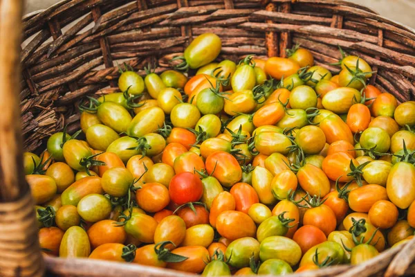 Montón de tomates frescos. Primer plano — Foto de Stock