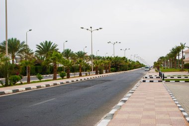 Sıcak bir ülkede palmiye ağaçlarıyla çevrili boş bir yol.