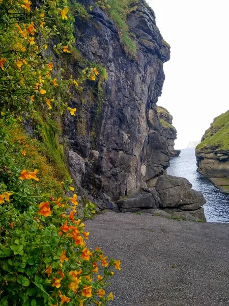 Die Klippe Ozean — Stockfoto