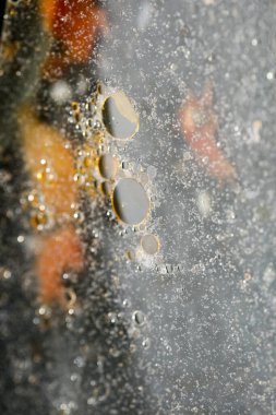 Renkli kabarcıklar makro arkaplan 50 megapiksel yüksek kalite 