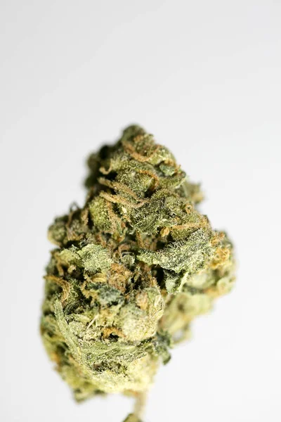 Ot tomurcuğu limon balonu makro arka plan yüksek kalite 50 megapi