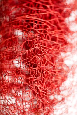 Kırmızı çiçek garip tropikal çiçek meyve makro arka plan 50