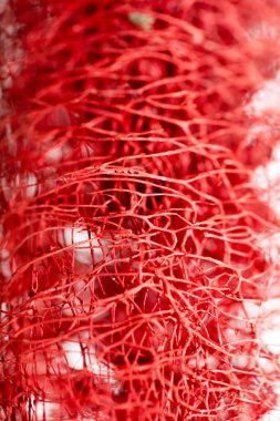 Kırmızı çiçek garip tropikal çiçek meyve makro arka plan 50