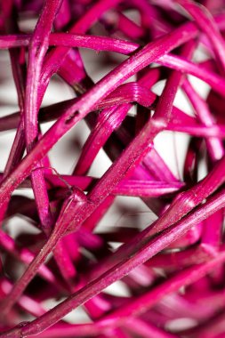 Pembe tökezleme potpuri soyut makro arka plan 50 bana