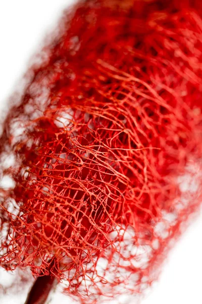 红花奇异热带水果宏观背景50 — 图库照片