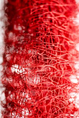 Kırmızı çiçek garip tropikal çiçek meyve makro arka plan 50