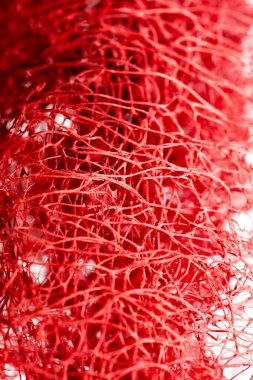 Kırmızı çiçek garip tropikal çiçek meyve makro arka plan 50