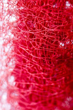 Kırmızı çiçek garip tropikal çiçek meyve makro arka plan 50