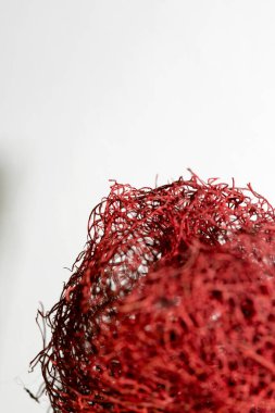 Kırmızı çiçek garip tropikal çiçek meyve makro arka plan 50