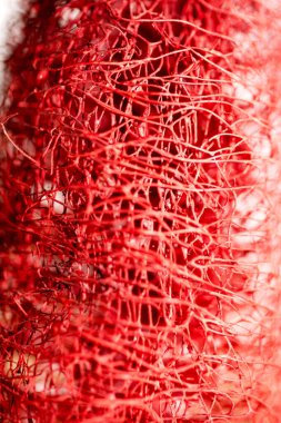 Kırmızı çiçek garip tropikal çiçek meyve makro arka plan 50