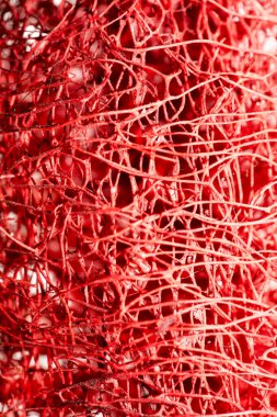 Kırmızı çiçek garip tropikal çiçek meyve makro arka plan 50