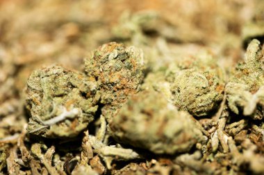 Marihuana makro süper limon sisi arka plan 50 megapiksel pri