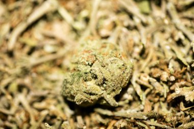 Marihuana makro süper limon sisi arka plan 50 megapiksel pri