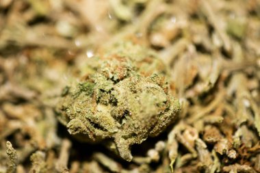 Marihuana makro süper limon sisi arka plan 50 megapiksel pri