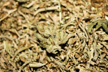 Marihuana makro süper limon sisi arka plan 50 megapiksel pri