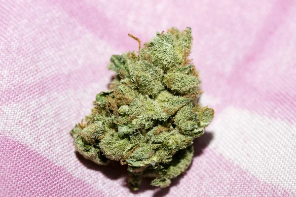 Cannabis bud super limão neblina macro fundo cinquenta megapixels — Fotografia de Stock