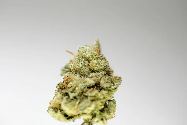 Cannabis bud super limão neblina macro fundo cinquenta megapixels — Fotografia de Stock