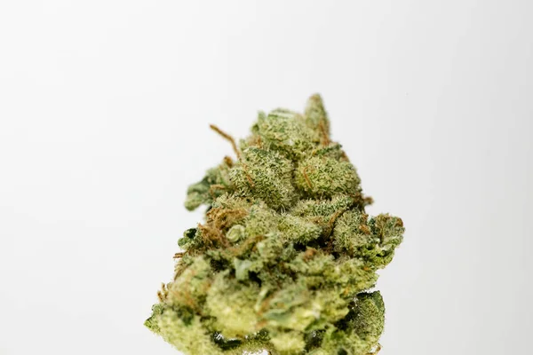 Cannabis bud super limão neblina macro fundo cinquenta megapixels — Fotografia de Stock