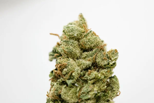 Cannabis bud super limão neblina macro fundo cinquenta megapixels — Fotografia de Stock