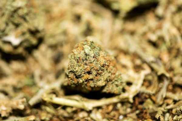 Marihuana Makro Super Zitrone Dunst Hintergrund fünfzig Megapixel pri — Stockfoto