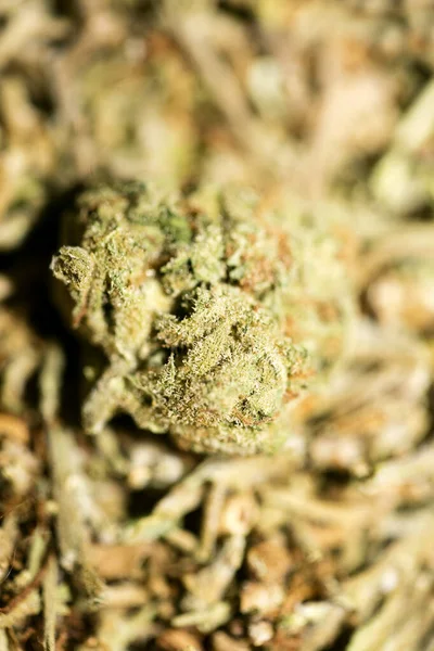 Marihuana macro super limão neblina fundo cinquenta megapixels pri — Fotografia de Stock