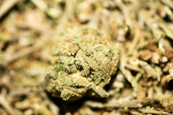 Marihuana makro süper limon sisi arka plan 50 megapiksel pri