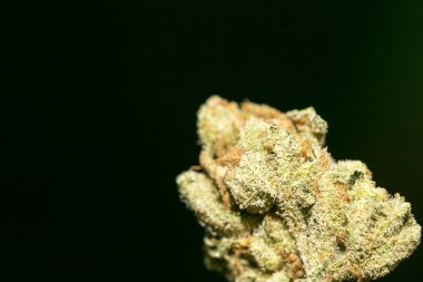 Siyah arka planda esrar makrosu 50 megapiksel baskı