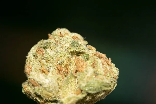 Cannabis macro em fundo preto 50 megapixels impressões — Fotografia de Stock