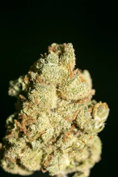 Macro Cannabis en fondo negro cincuenta megapíxeles impresiones —  Fotos de Stock
