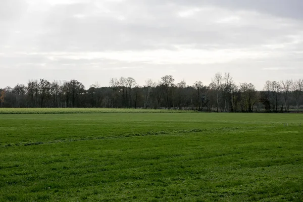 Naturaleza paisaje norte alemania fondo cincuenta megapíxeles imprimir — Foto de Stock