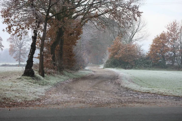 Forest road in wind nature background Dorsten Rhade high quality — Stock Photo, Image