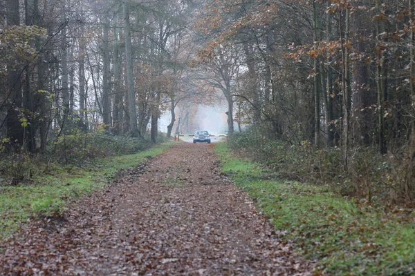 Rüzgar doğasında orman yolu Dorsten Rhade yüksek kalite