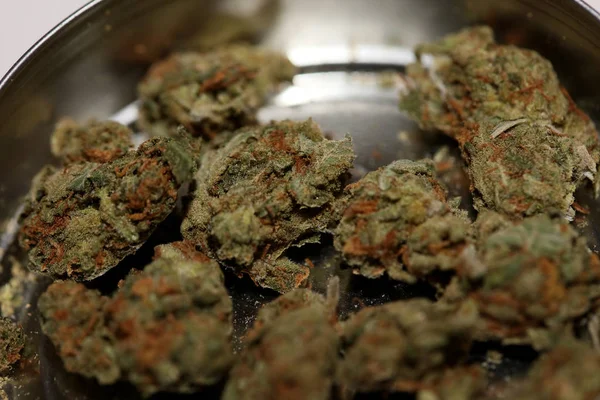 Cannabis knopp medicinsk jordgubbe dimma makro bakgrund hög kvalitet — Stockfoto
