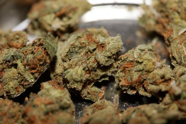 Esrar tomurcuğu tıbbi çilek sisi makro arka plan yüksek kalite