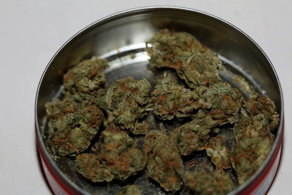 Cannabis brote fresa médica neblina macro fondo alto cuali — Foto de Stock