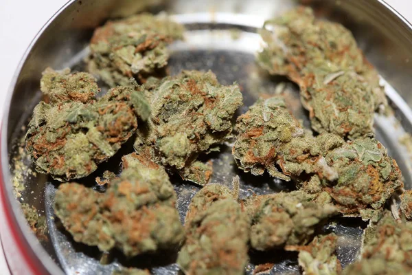 Cannabis brote fresa médica neblina macro fondo alto cuali — Foto de Stock