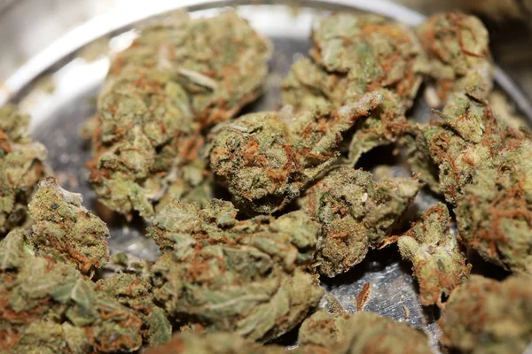 Cannabis brote fresa médica neblina macro fondo alto cuali —  Fotos de Stock