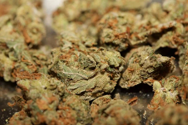 Cannabis bud orvosi eper köd makró háttér magas kvalifikációs — Stock Fotó
