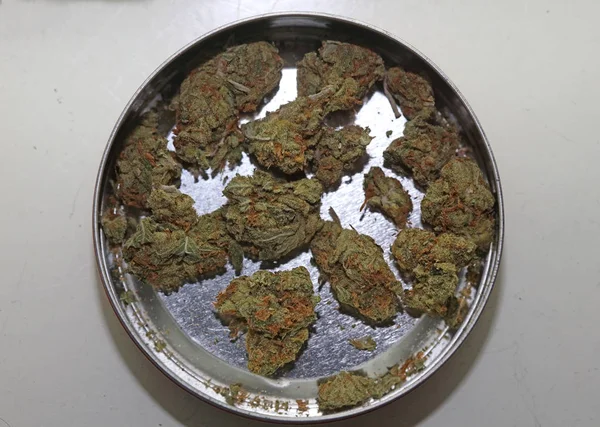 Cannabis Knospe medizinische Erdbeer Dunst Makro Hintergrund hohe Qualität — Stockfoto