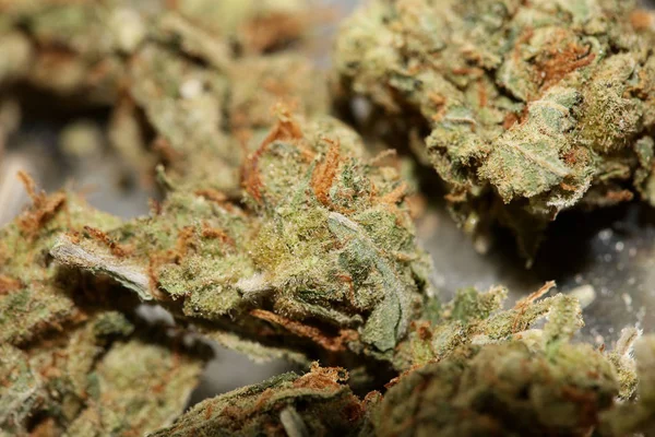 Cannabis brote fresa médica neblina macro fondo alto cuali —  Fotos de Stock