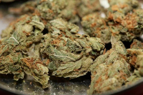 Cannabis bud lékařské jahody opar makro pozadí vysoké quali — Stock fotografie