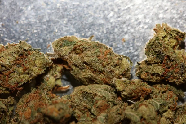 Cannabis germoglio medico fragola foschia macro sfondo alto quali — Foto Stock